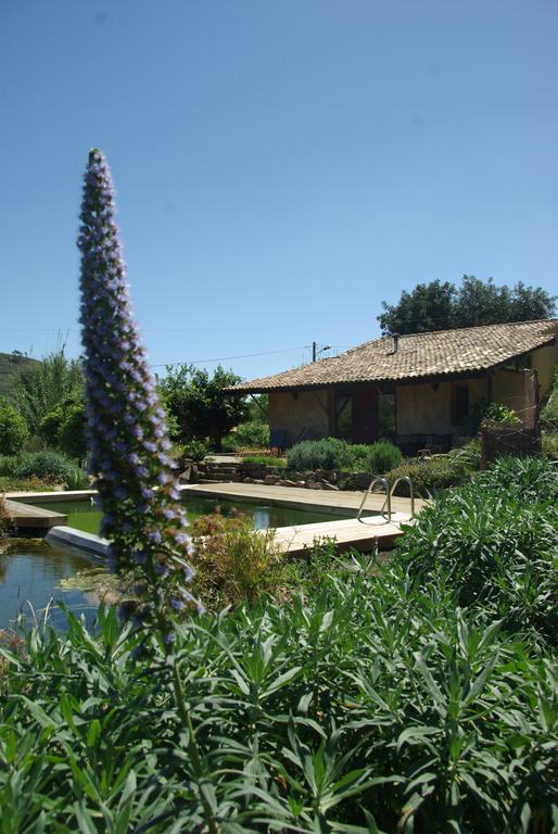 Quinta do Arade - casa 4 pétalas Barranco do Resgalho Exterior foto